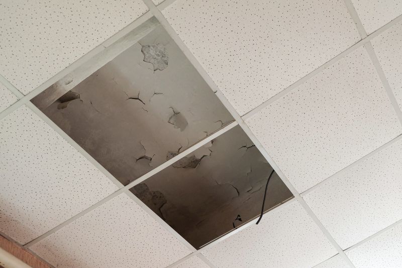 Ceiling Asbestos Testing
