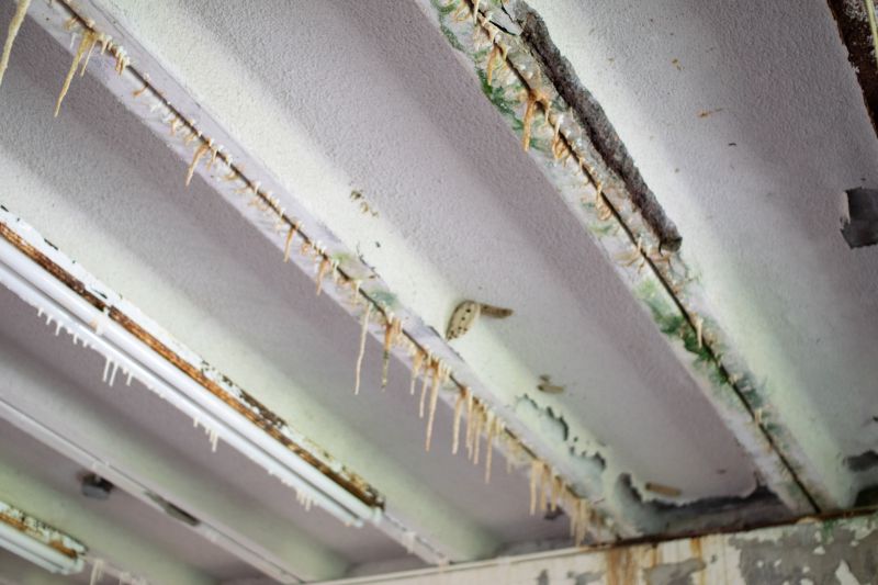 Ceiling Asbestos Testing
