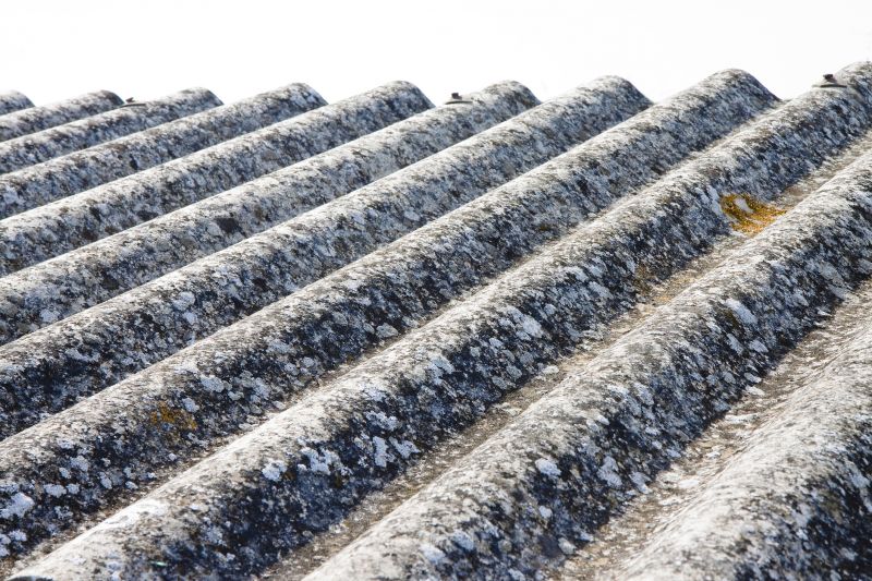 Asbestos Inspection Service detail