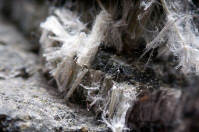 Asbestos Inspection Service detail