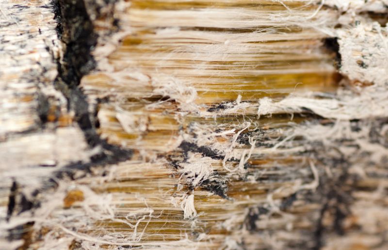 Vermiculite Remediation