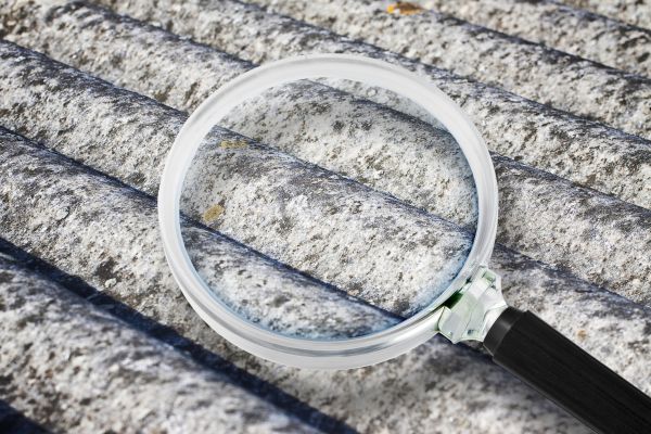 Asbestos Inspection Service in Alexandria