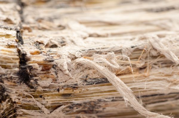 Vermiculite Remediation Service